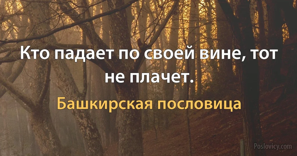 Кто падает по своей вине, тот не плачет. (Башкирская пословица)