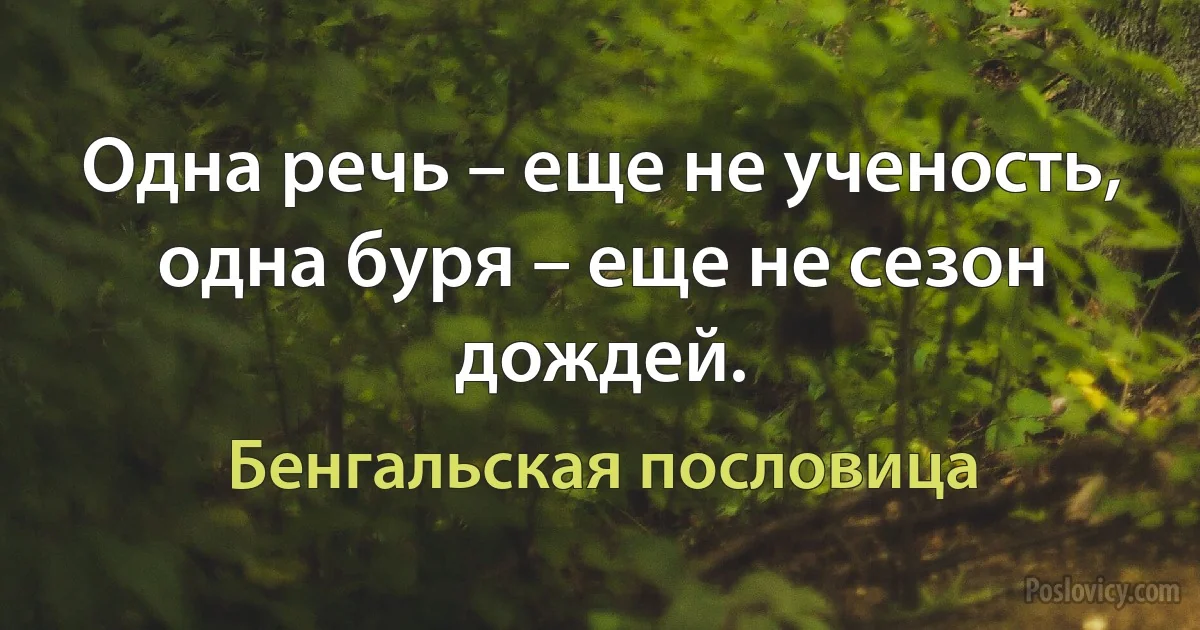 Одна речь – еще не ученость, одна буря – еще не сезон дождей. (Бенгальская пословица)