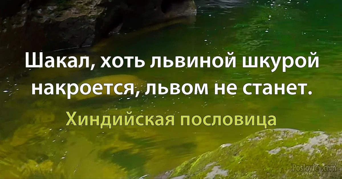 Шакал, хоть львиной шкурой накроется, львом не станет. (Хиндийская пословица)