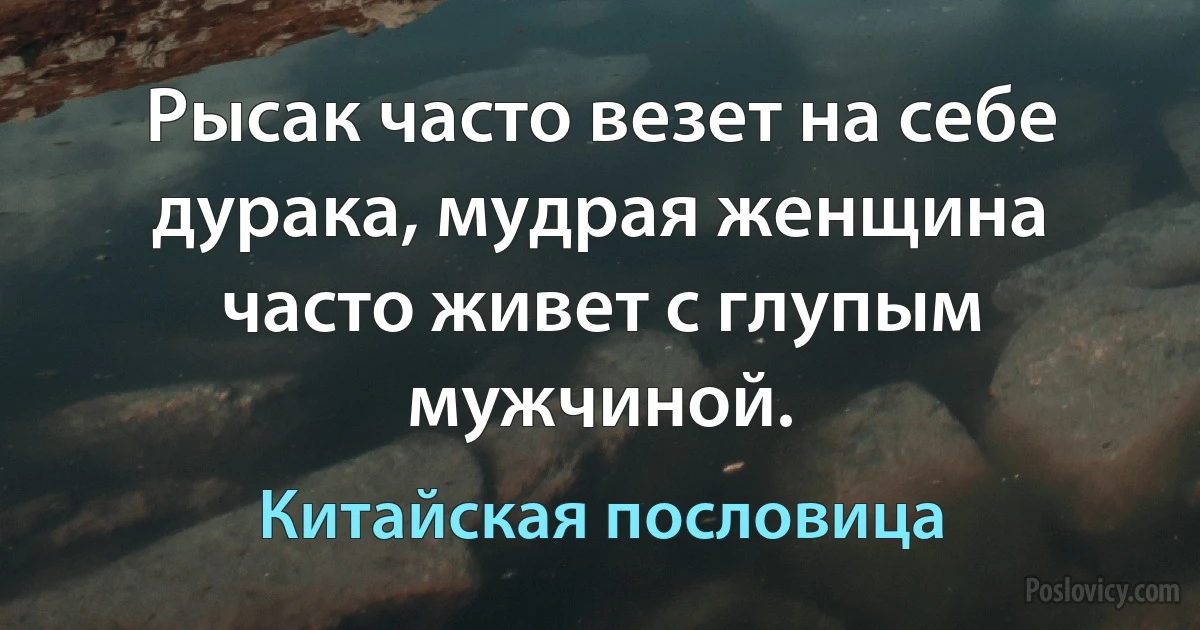 Рысак часто везет на себе дурака, мудрая женщина часто живет с глупым мужчиной. (Китайская пословица)