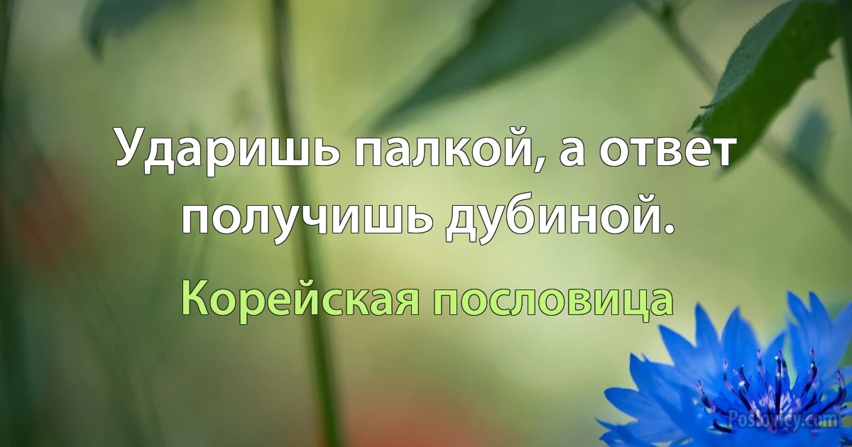 Ударишь палкой, а ответ получишь дубиной. (Корейская пословица)