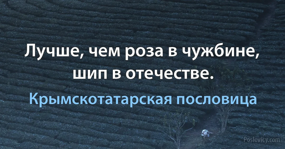 Лучше, чем роза в чужбине, шип в отечестве. (Крымскотатарская пословица)