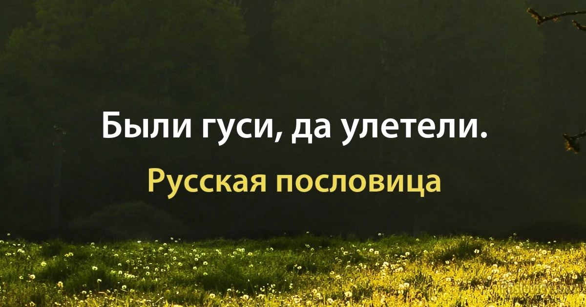 Были гуси, да улетели. (Русская пословица)