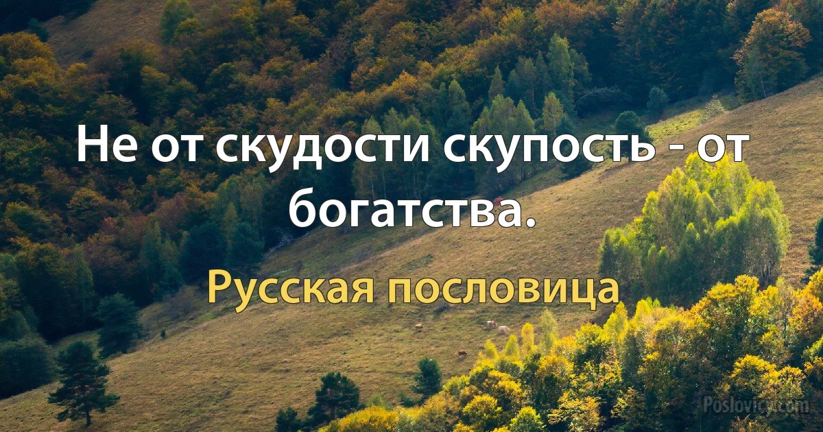 Не от скудости скупость - от богатства. (Русская пословица)