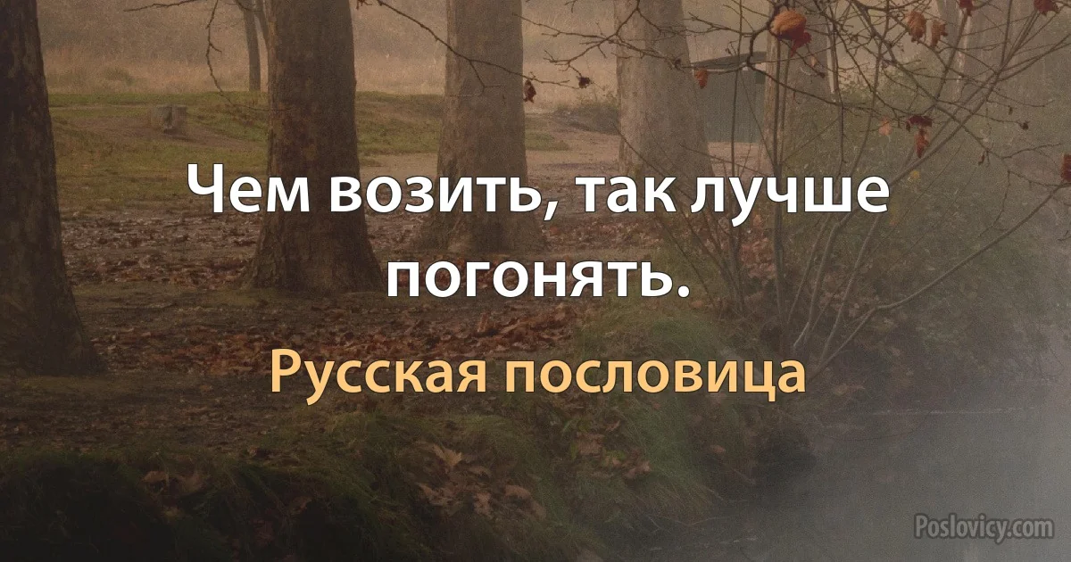 Чем возить, так лучше погонять. (Русская пословица)