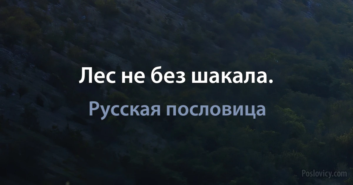 Лес не без шакала. (Русская пословица)