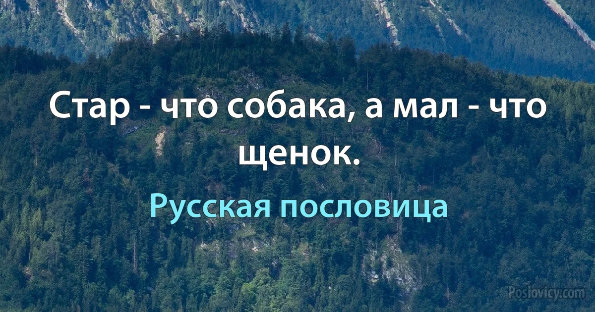 Стар - что собака, а мал - что щенок. (Русская пословица)