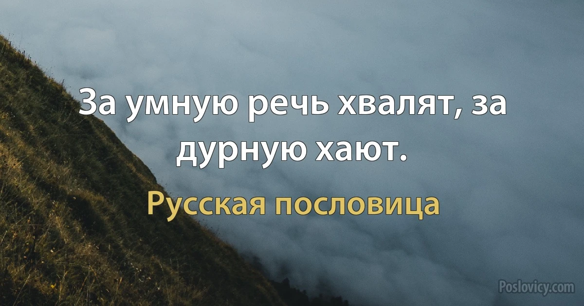 За умную речь хвалят, за дурную хают. (Русская пословица)