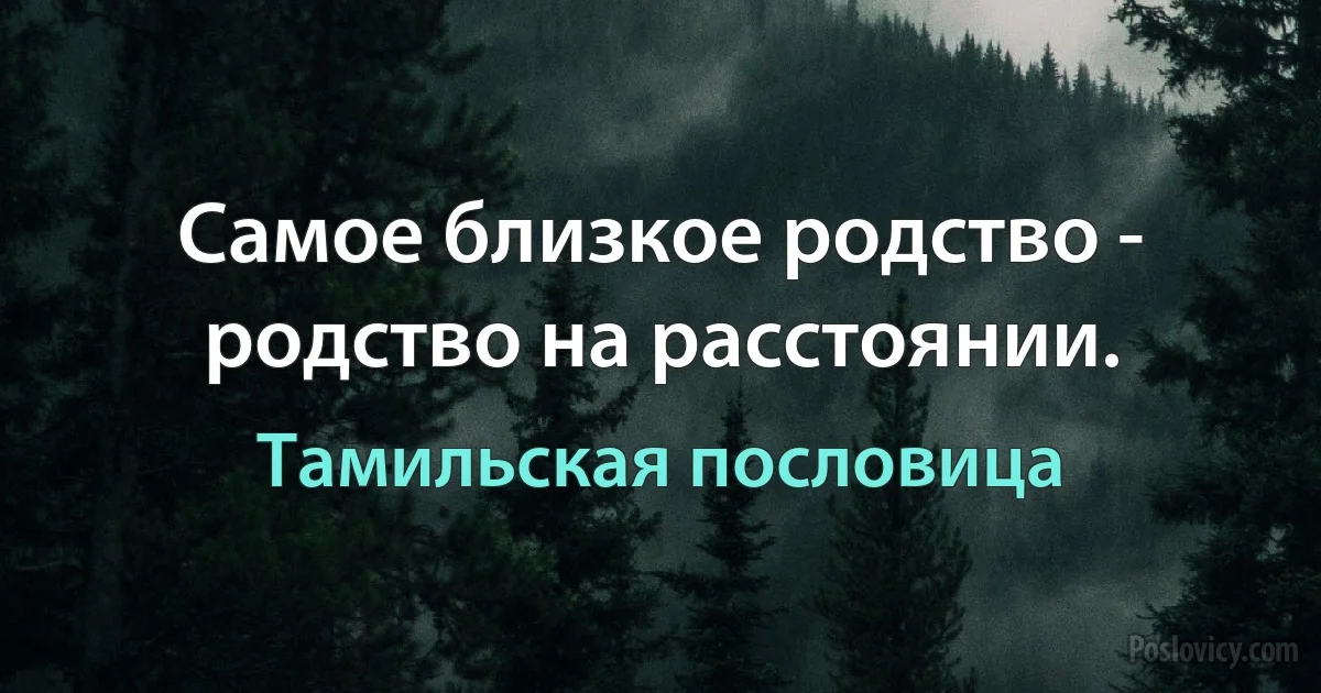 Самое близкое родство - родство на расстоянии. (Тамильская пословица)