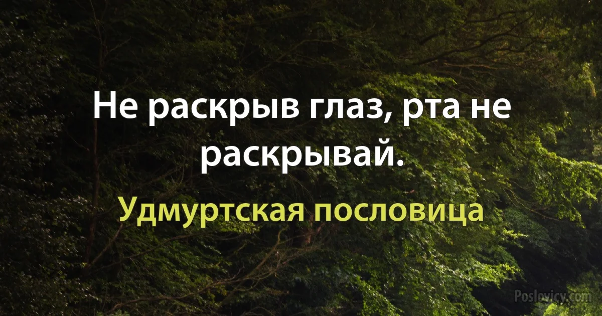 Не раскрыв глаз, рта не раскрывай. (Удмуртская пословица)