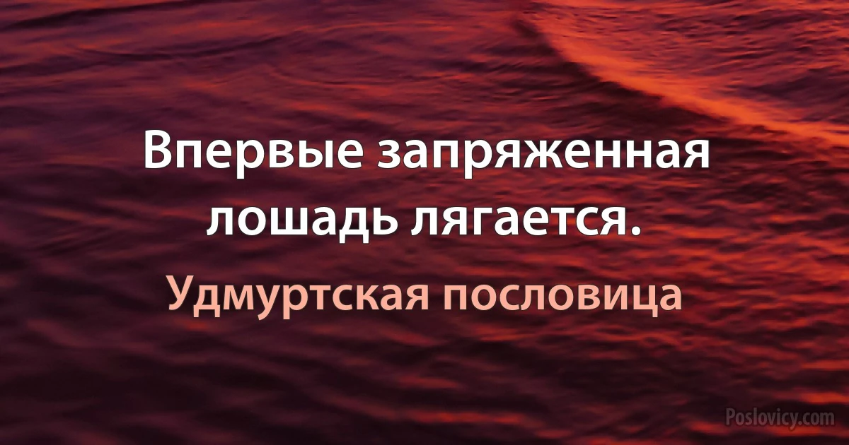 Впервые запряженная лошадь лягается. (Удмуртская пословица)