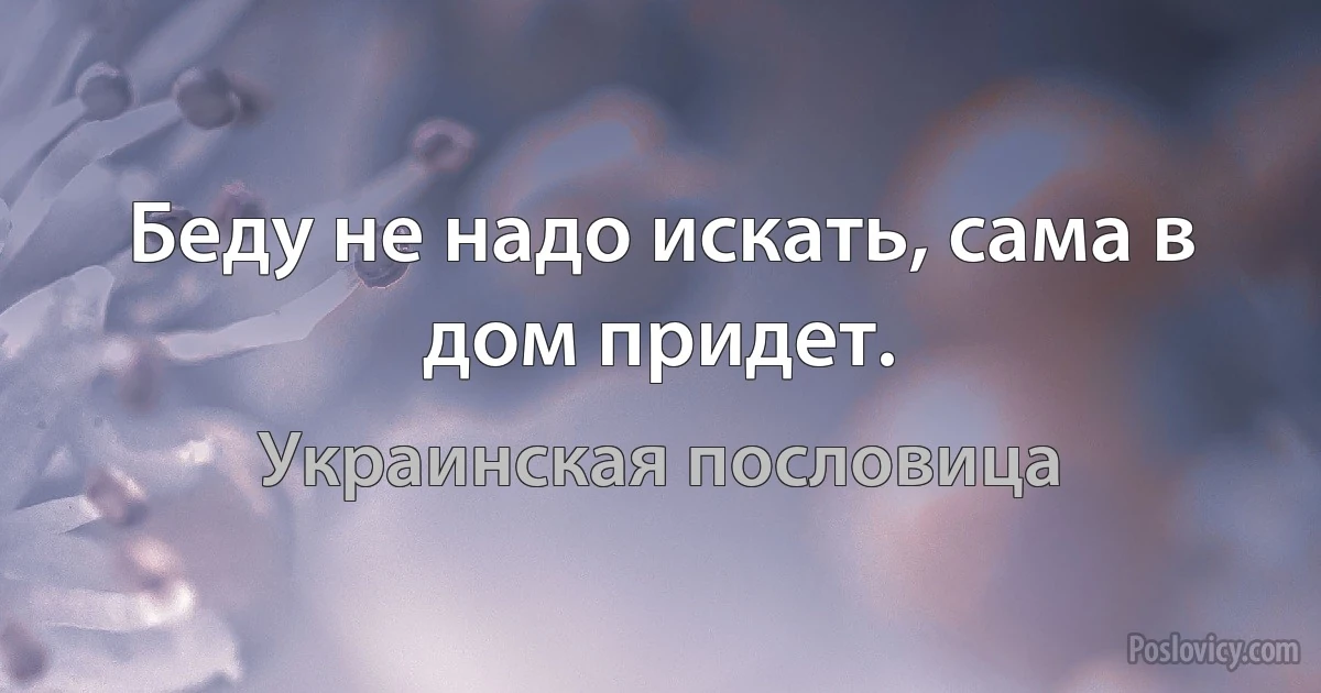 Беду не надо искать, сама в дом придет. (Украинская пословица)