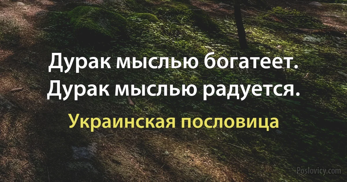 Дурак мыслью богатеет. Дурак мыслью радуется. (Украинская пословица)