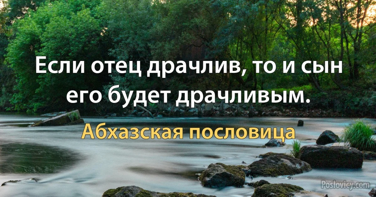 Если отец драчлив, то и сын его будет драчливым. (Абхазская пословица)