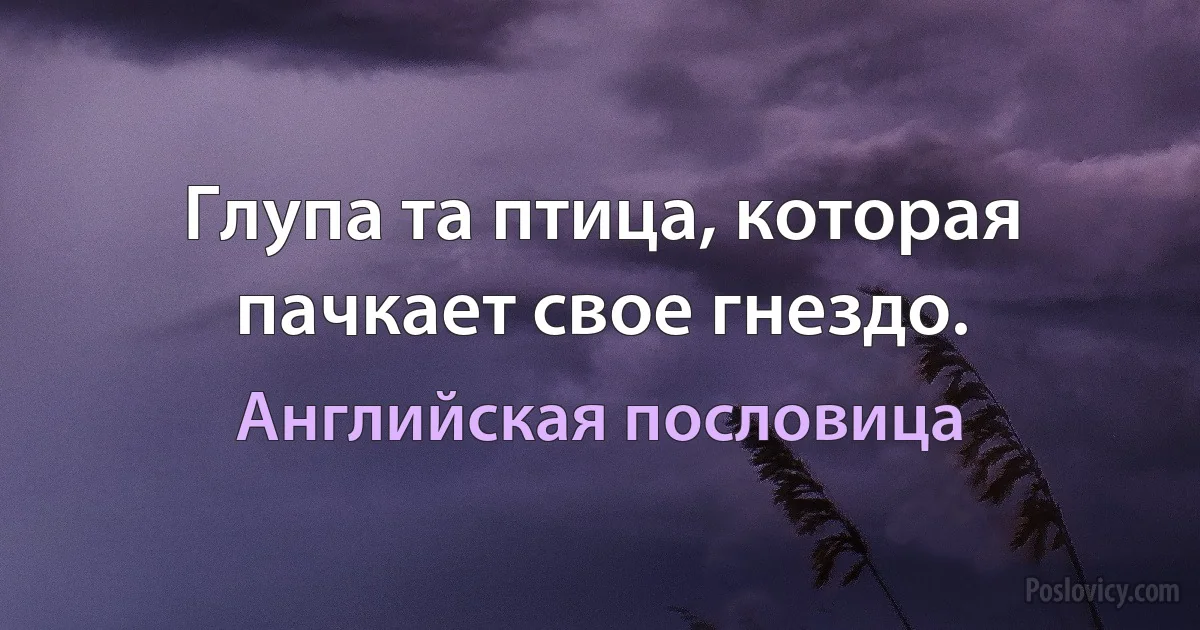 Глупа та птица, которая пачкает свое гнездо. (Английская пословица)