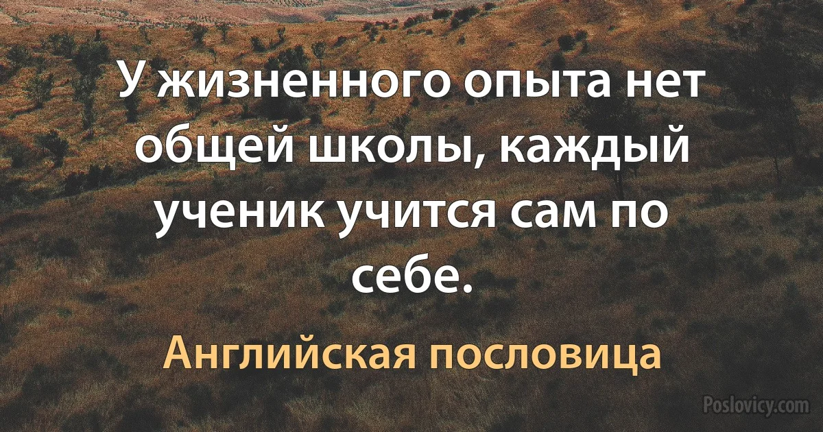 У жизненного опыта нет общей школы, каждый ученик учится сам по себе. (Английская пословица)