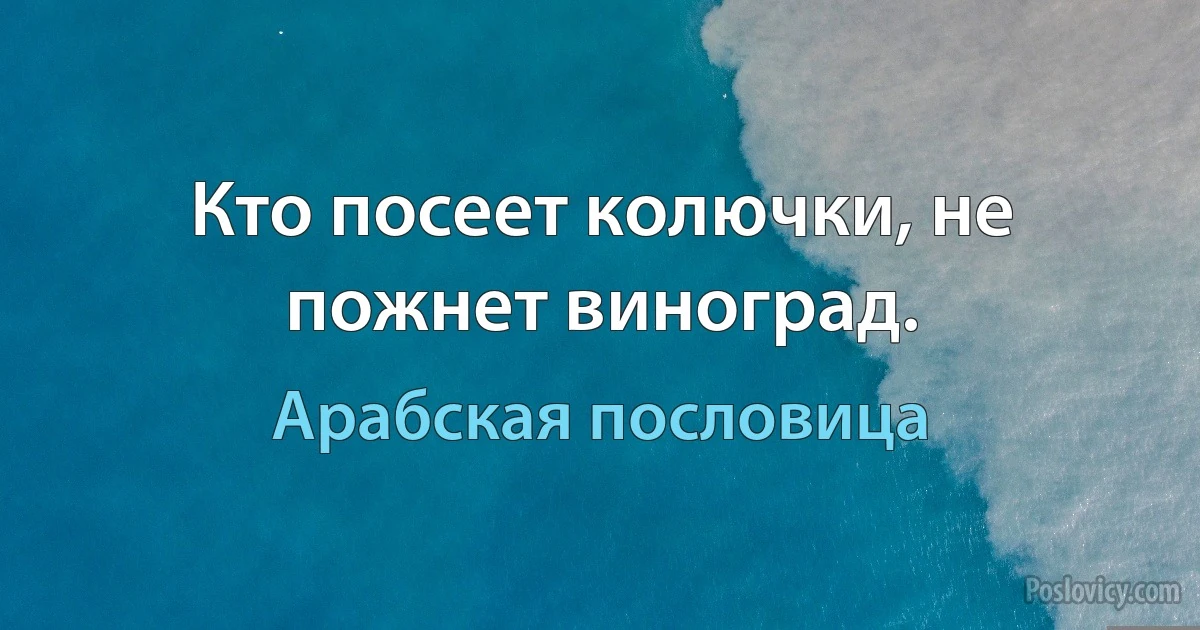 Кто посеет колючки, не пожнет виноград. (Арабская пословица)