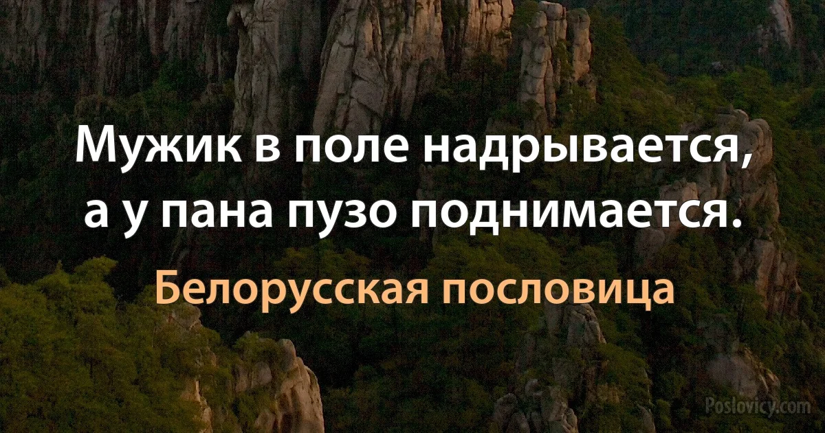 Мужик в поле надрывается, а у пана пузо поднимается. (Белорусская пословица)