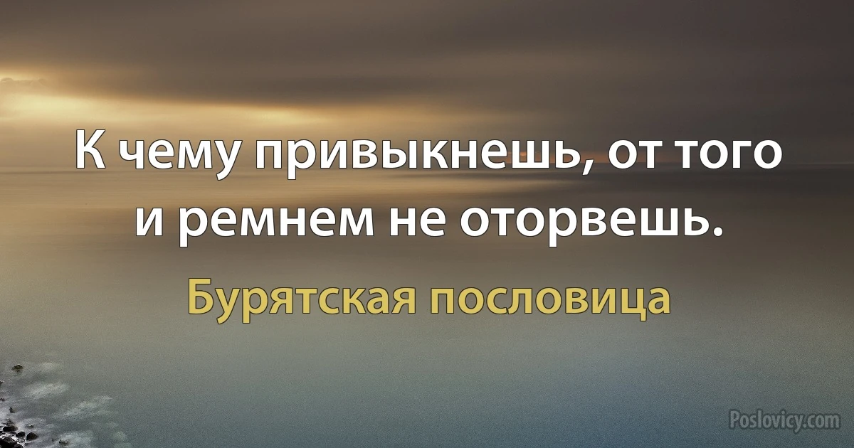 К чему привыкнешь, от того и ремнем не оторвешь. (Бурятская пословица)