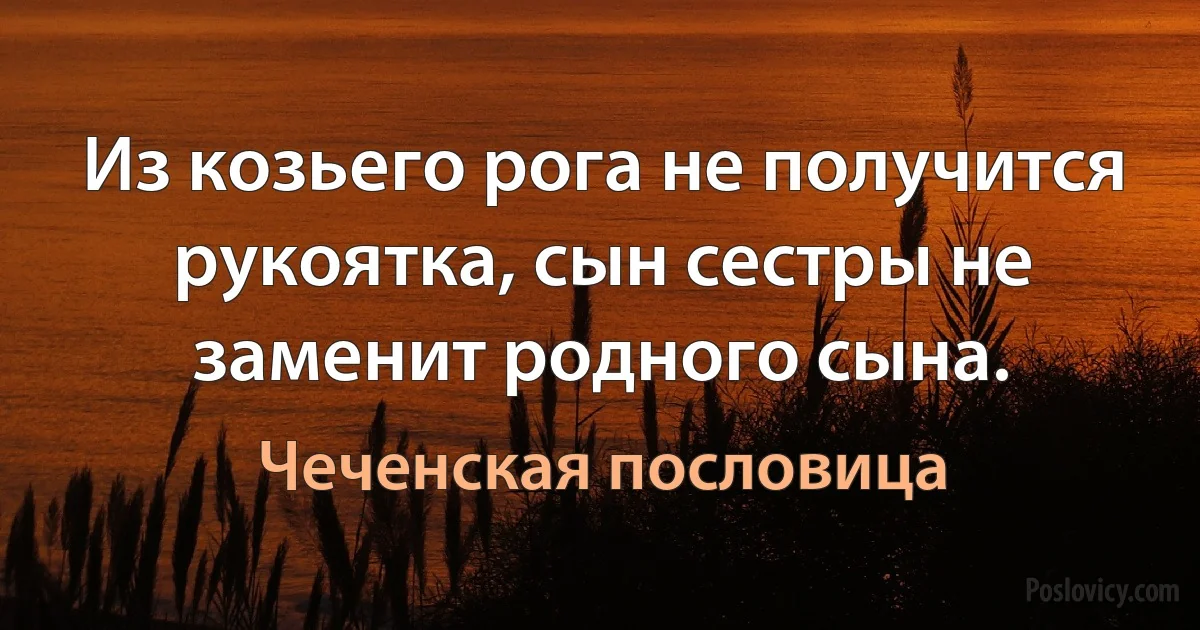 Из козьего рога не получится рукоятка, сын сестры не заменит родного сына. (Чеченская пословица)