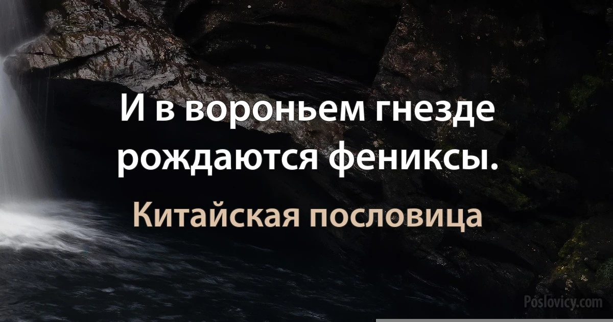 И в вороньем гнезде рождаются фениксы. (Китайская пословица)