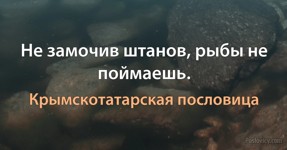 Не замочив штанов, рыбы не поймаешь. (Крымскотатарская пословица)