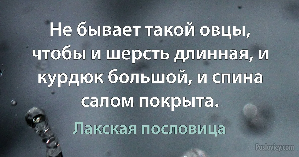 Не бывает такой овцы, чтобы и шерсть длинная, и курдюк большой, и спина салом покрыта. (Лакская пословица)