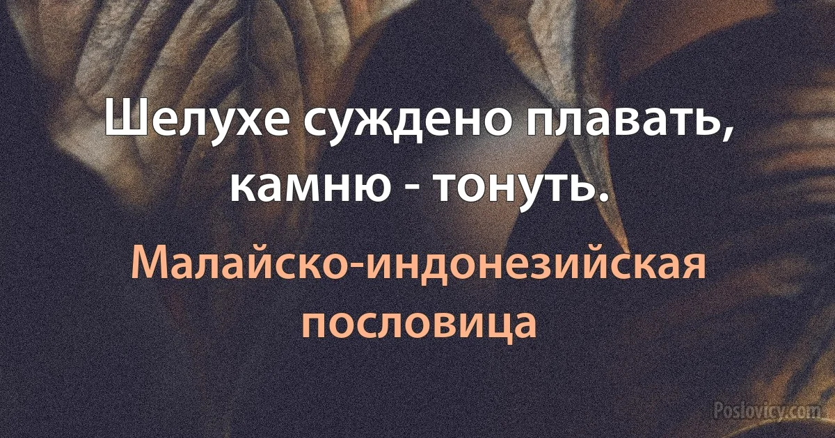 Шелухе суждено плавать, камню - тонуть. (Малайско-индонезийская пословица)