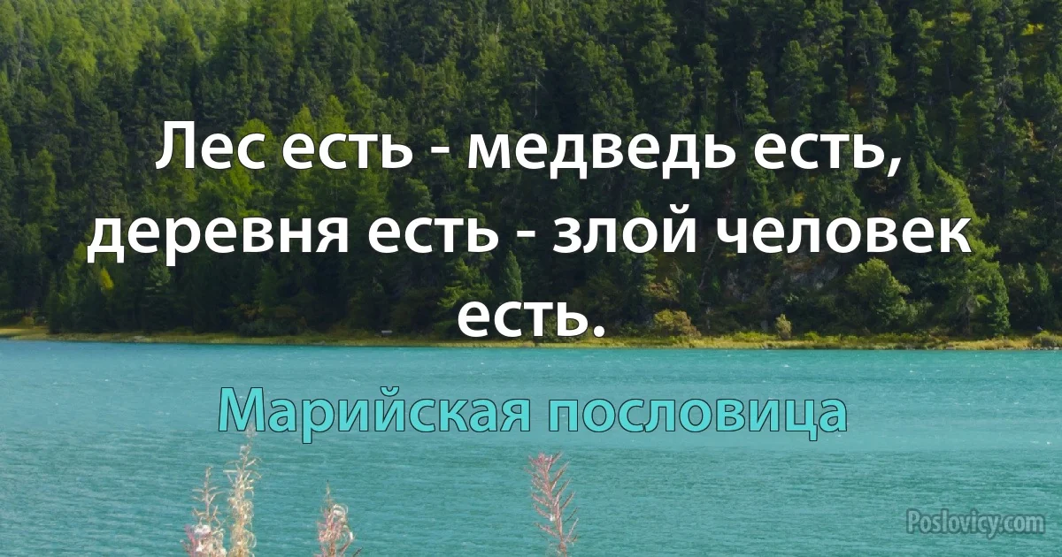 Лес есть - медведь есть, деревня есть - злой человек есть. (Марийская пословица)