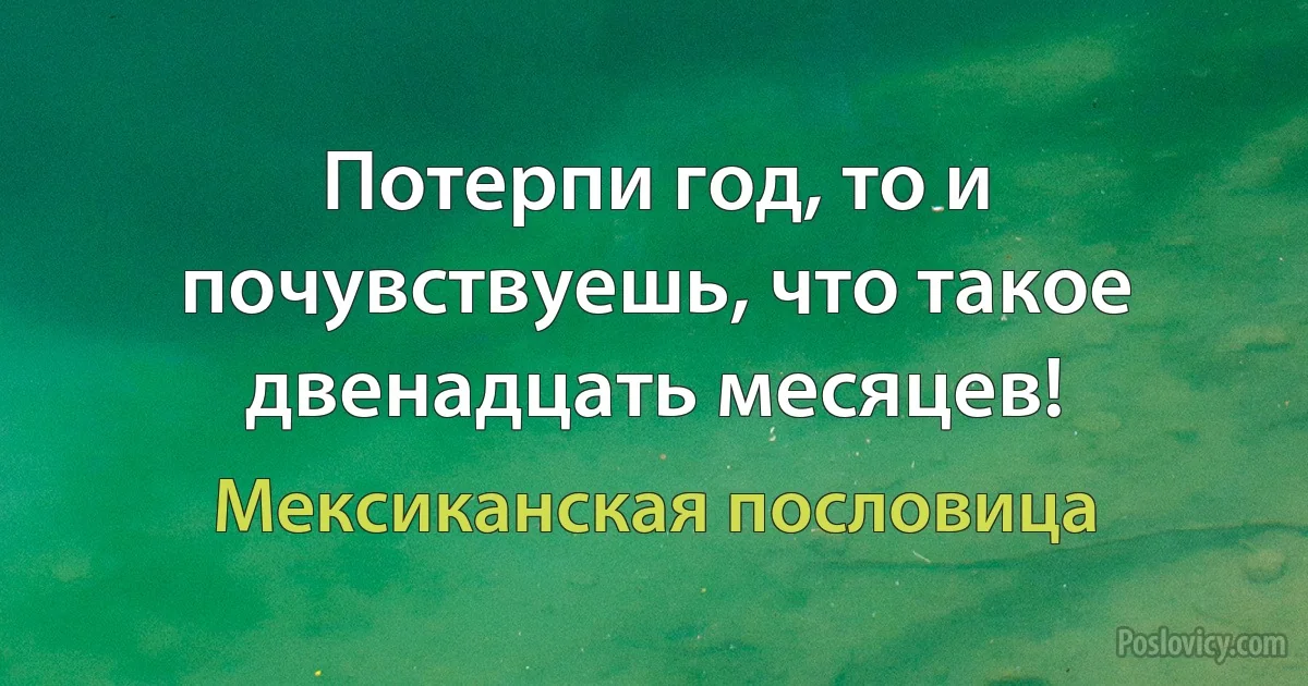 Потерпи год, то и почувствуешь, что такое двенадцать месяцев! (Мексиканская пословица)