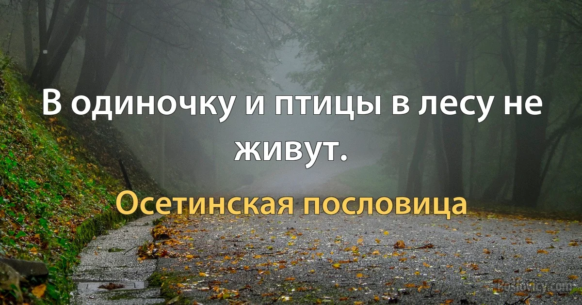 В одиночку и птицы в лесу не живут. (Осетинская пословица)