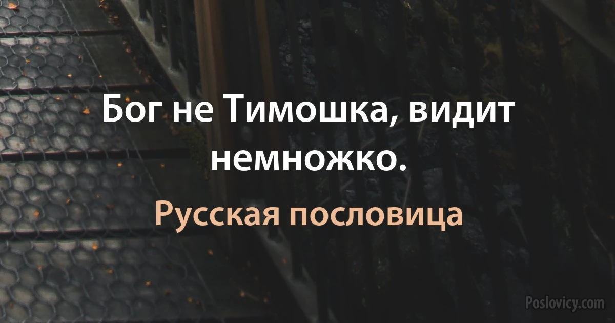 Бог не Тимошка, видит немножко. (Русская пословица)