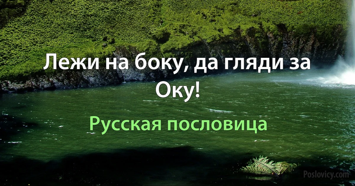 Лежи на боку, да гляди за Оку! (Русская пословица)