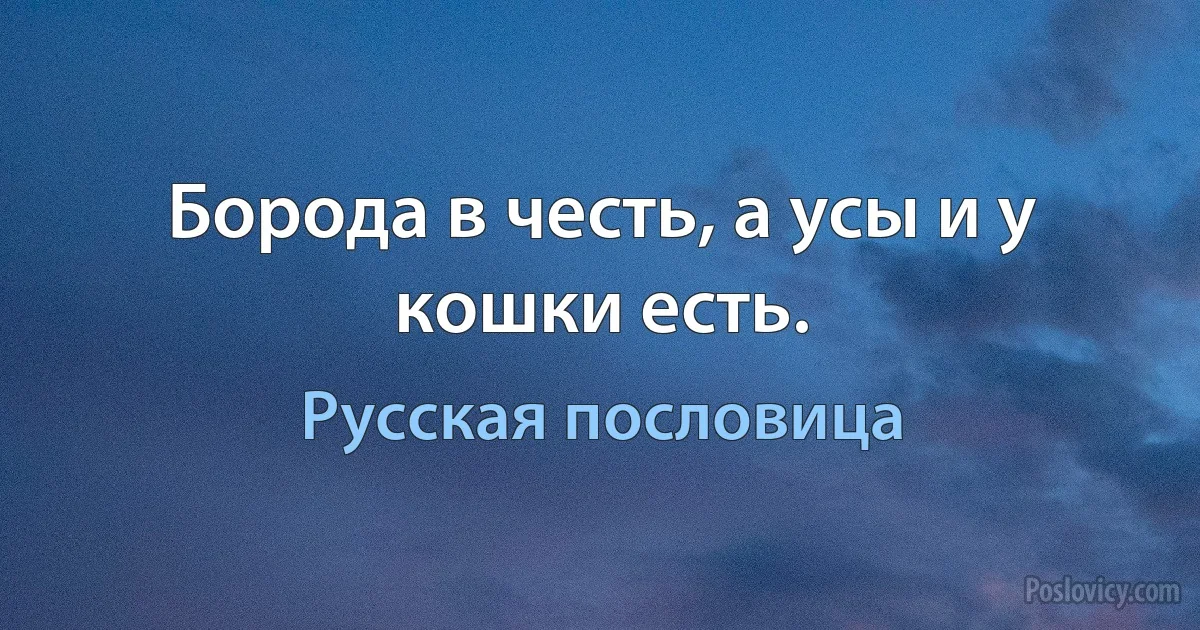 Борода в честь, а усы и у кошки есть. (Русская пословица)