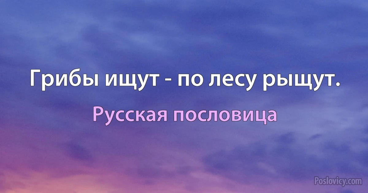 Грибы ищут - по лесу рыщут. (Русская пословица)