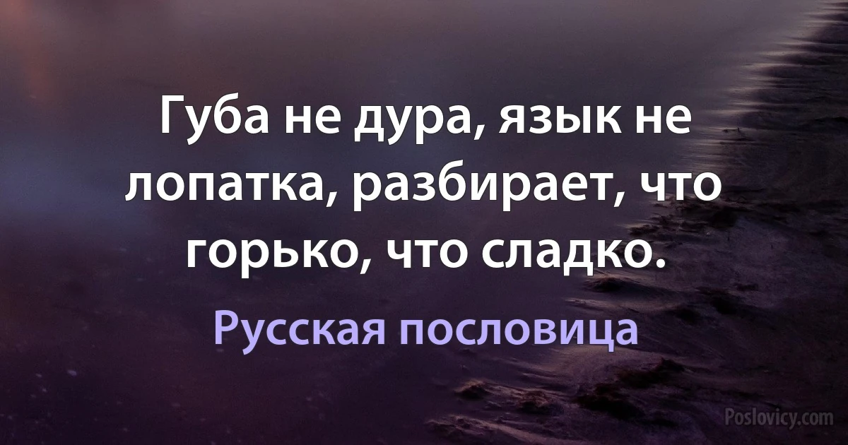 Губа не дура, язык не лопатка, разбирает, что горько, что сладко. (Русская пословица)