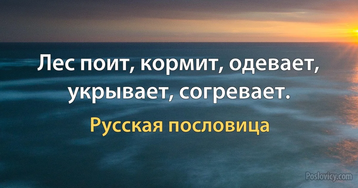 Лес поит, кормит, одевает, укрывает, согревает. (Русская пословица)