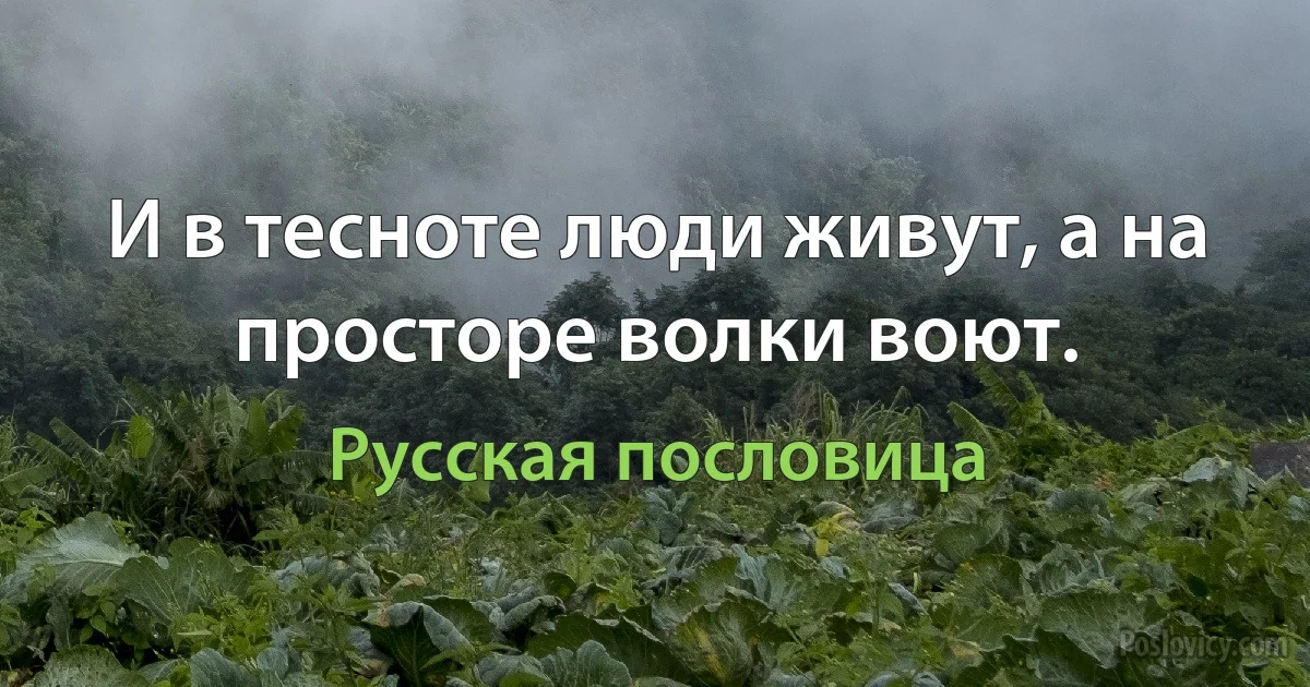 И в тесноте люди живут, а на просторе волки воют. (Русская пословица)