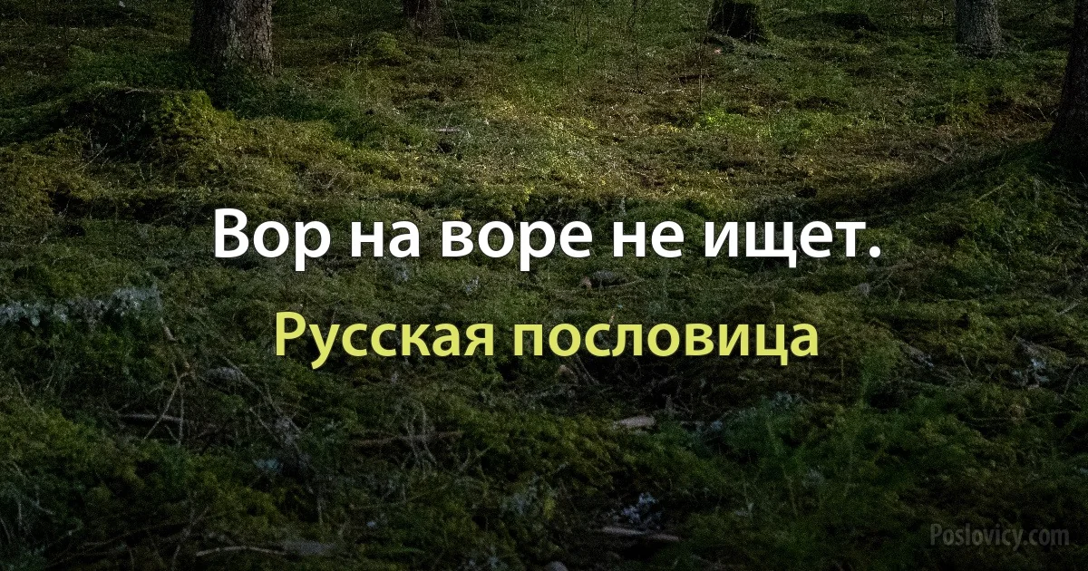 Вор на воре не ищет. (Русская пословица)