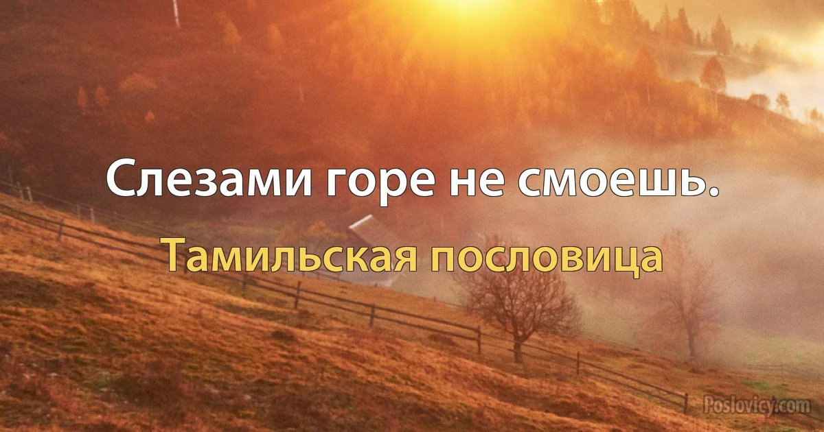 Слезами горе не смоешь. (Тамильская пословица)