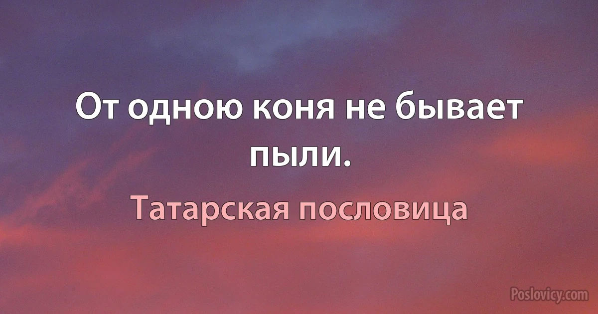 От одною коня не бывает пыли. (Татарская пословица)