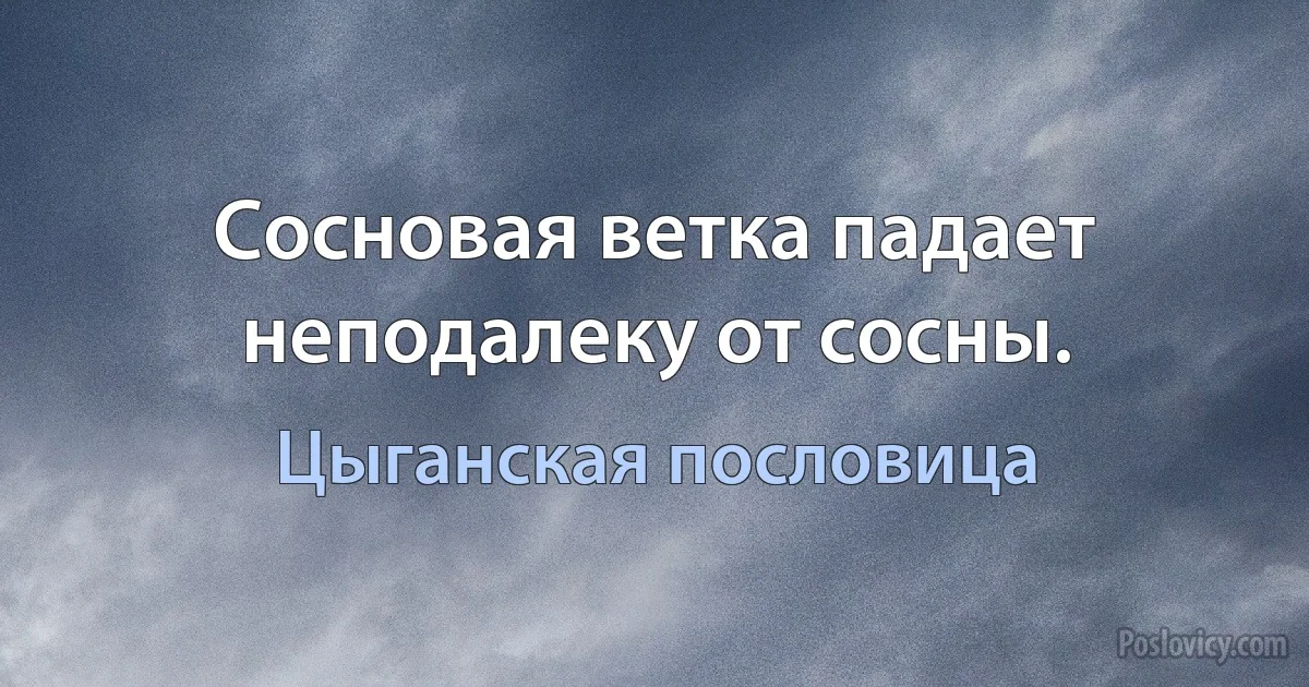 Сосновая ветка падает неподалеку от сосны. (Цыганская пословица)