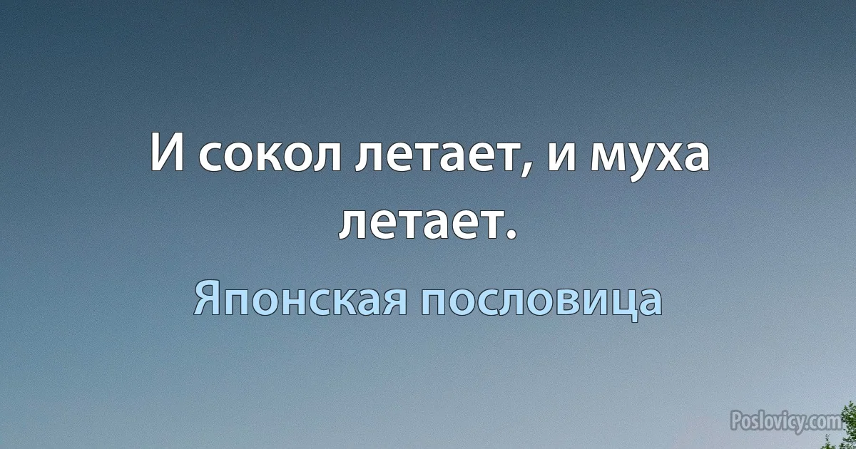 И сокол летает, и муха летает. (Японская пословица)