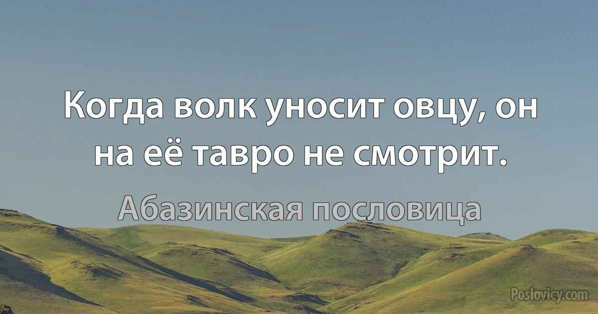 Когда волк уносит овцу, он на её тавро не смотрит. (Абазинская пословица)