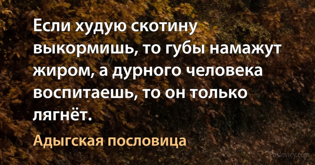 Если худую скотину выкормишь, то губы намажут жиром, а дурного человека воспитаешь, то он только лягнёт. (Адыгская пословица)