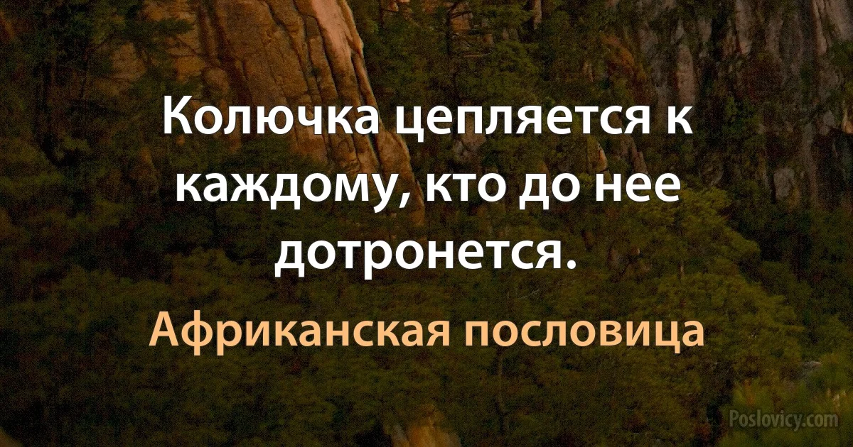 Колючка цепляется к каждому, кто до нее дотронется. (Африканская пословица)