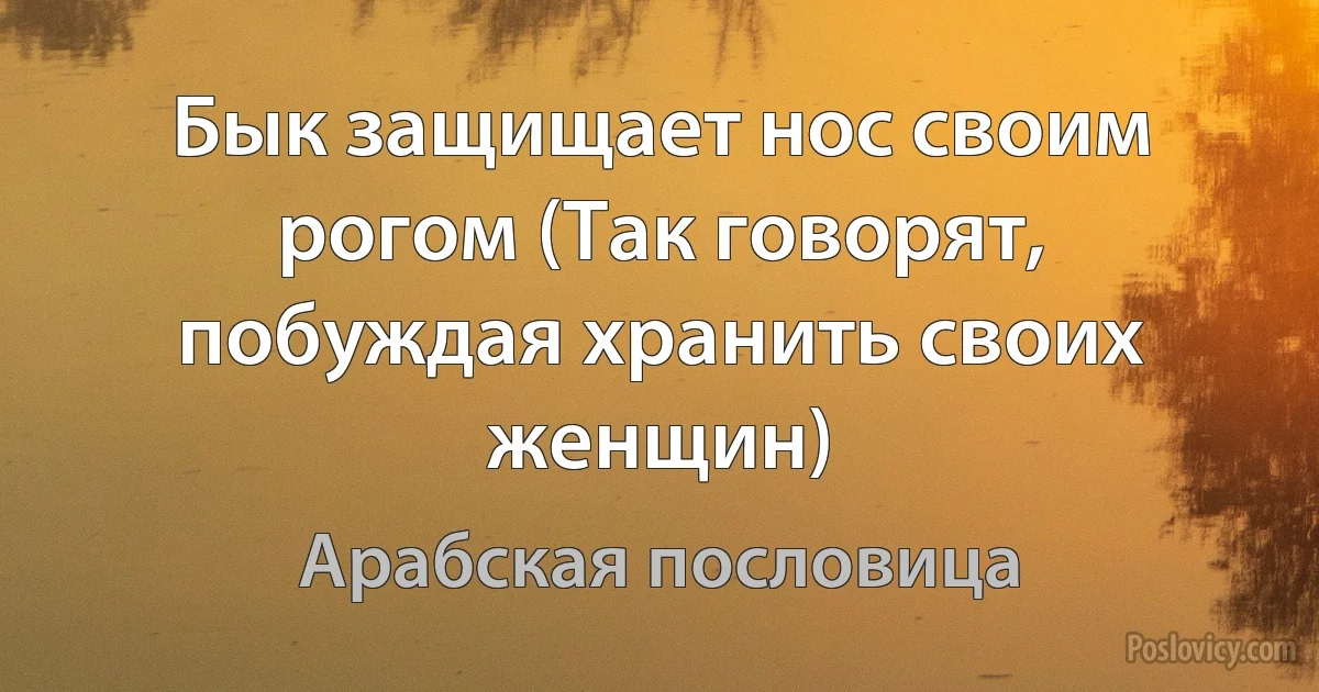 Бык защищает нос своим рогом (Так говорят, побуждая хранить своих женщин) (Арабская пословица)