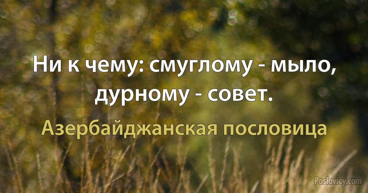 Ни к чему: смуглому - мыло, дурному - совет. (Азербайджанская пословица)