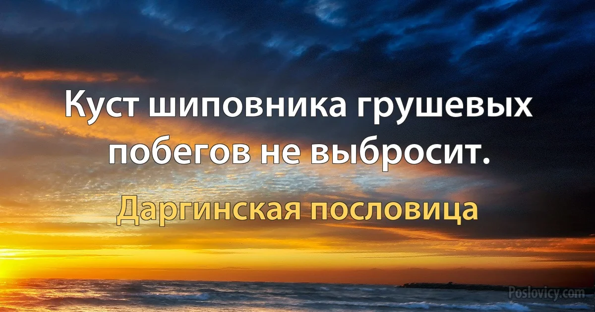 Куст шиповника грушевых побегов не выбросит. (Даргинская пословица)