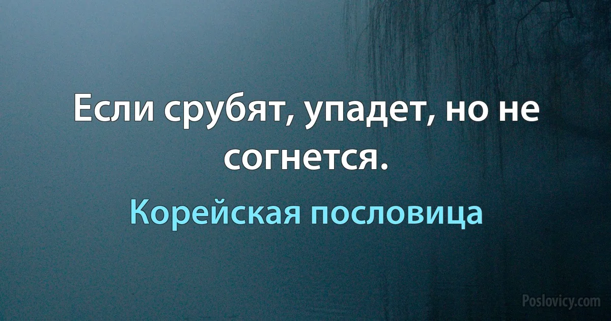 Если срубят, упадет, но не согнется. (Корейская пословица)